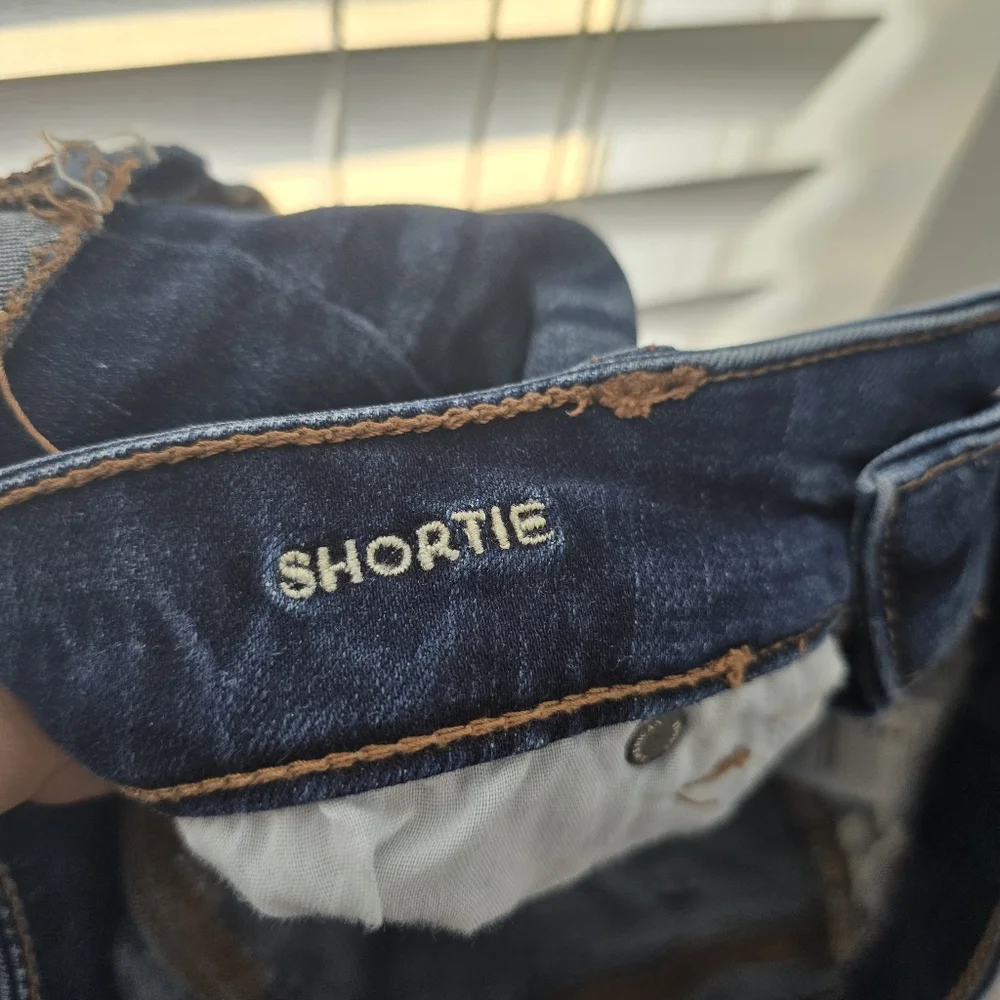 American Eagle Outfitters Shortie Blue Denim Shorts - Picture 9 of 11